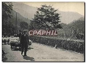 Carte Postale Ancienne Folklore Route de Lourdes a Argeles Moutons