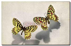 Bild des Verkufers fr Carte Postale Ancienne Papillon Thais Zerynthia Polyxena Creusa Medesicaste zum Verkauf von CPAPHIL