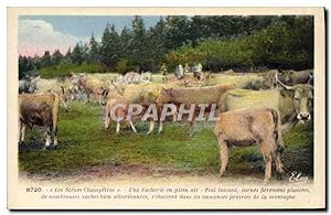 Carte Postale Ancienne Scenes champetres Une vacherie en plein air Vaches