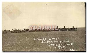 Carte Postale Ancienne Drilling Wheat SG Detchon Farms Davidson Sask 1915 TOP