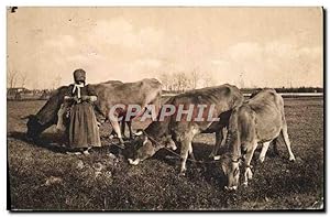 Carte Postale Ancienne Folklore Vaches