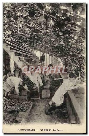 Carte Postale Ancienne Rambouillet La Ruche La serre Enfants TOP