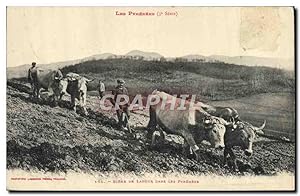 Carte Postale Ancienne Folklore Pyrenees Scene de labour dans les Pyrenees