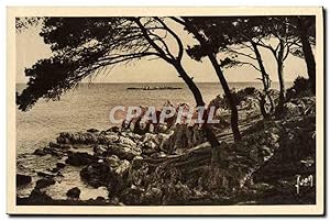 Carte Postale Ancienne Antibes la Pinede
