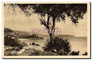 Carte Postale Ancienne Monaco Le Littoral Vers Le CAp Martin