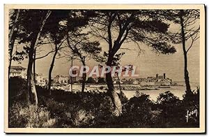 Carte Postale Ancienne Souvenir La Ville vue A Travers Les Pins De la Corniche