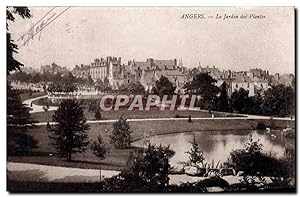 Carte Postale Ancienne Angers Le Jardin des Plantes