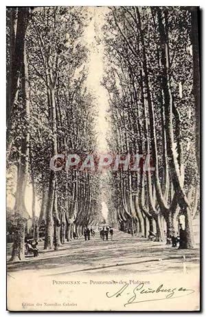 Carte Postale Ancienne Perpignan Promenade Des Platanes