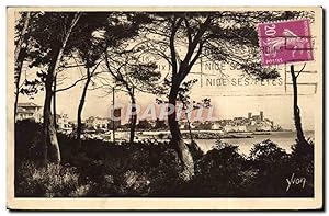 Carte Postale Ancienne Antibes La Ville vue a Travers les pins de la Corniche