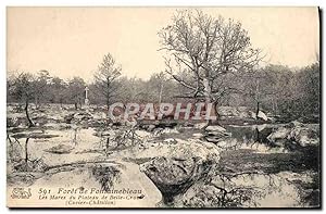 Carte Postale Ancienne forêt De Fontainebleau Les mares du plateau de Belle Croix Cuvier Chatillon