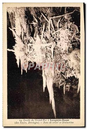 Carte Postale Ancienne Grotte du Grand Roc a Laugerie Basse Banc de corail et stalactites