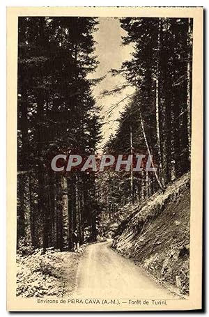Carte Postale Ancienne Peira Cava Environs forêt de Tuini