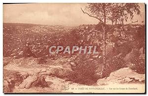 Carte Postale Ancienne forêt Fontainebleau vue sur les Gorges de Franchard