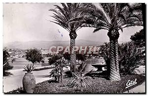 Carte Postale Moderne Cannes Le Jardin des Hesperides