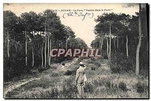 Carte Postale Ancienne Royan Le Parc Perdus Dans La forêt