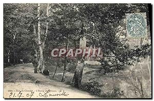 Carte Postale Ancienne Bois de Clamart L'etang des Drivaux