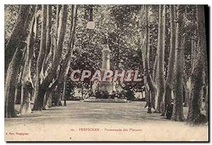 Carte Postale Ancienne Perpignan Promenade Des Platanes