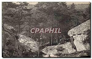 Carte Postale Ancienne forêt de Fontainebleau Descente du Mont Aigu