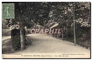 Carte Postale Ancienne Chatel Guyon Une Allée Du Parc