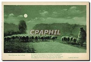 Carte Postale Ancienne Environs de Leon Berger et moutons