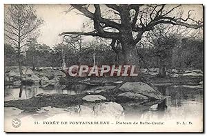 Carte Postale Ancienne forêt De Fontainebleau Plateau De Belle Croix