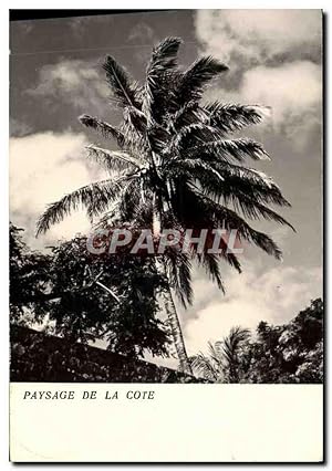 Carte Postale Moderne Paysage De La Cote Madagascar