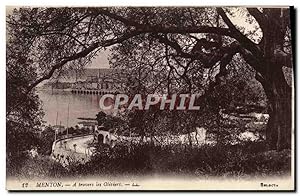 Carte Postale Ancienne Menton a travers les Oliviers