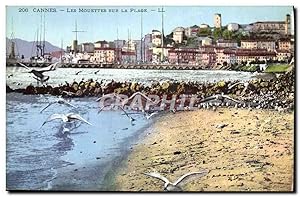 Carte Postale Ancienne Cannes Les Mouettes Sur La Plage