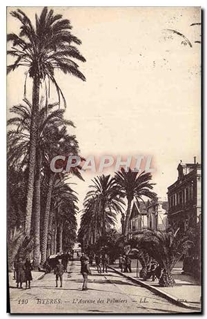 Carte Postale Ancienne Hyeres L'Avenue des Palmiers