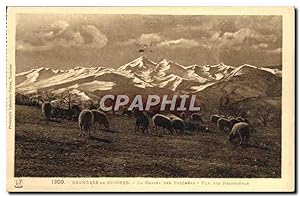 Carte Postale Ancienne Bagneres de Bigorre La chaine des Pyrenees vue des Palomieres Moutons