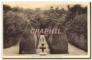 Carte Postale Ancienne Lucon Jardin Public Allée des Its