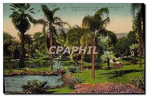 Carte Postale Ancienne Monte Carlo Un coin des jardins