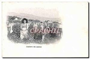 Carte Postale Ancienne Cueillette des Jasmins Parfum