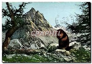 Bild des Verkufers fr Carte Postale Moderne Le dejeuner de la Marmotte zum Verkauf von CPAPHIL