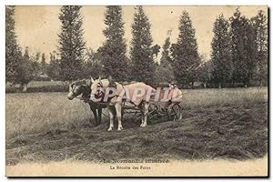 Carte Postale Ancienne Folklore Normandie La recollte des foins cheval