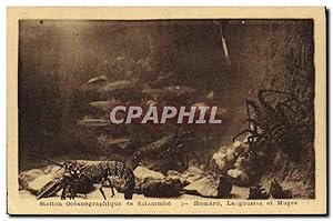 Carte Postale Ancienne Carthage Station oceanographique de Salammbo Homard Langoustes et Muges