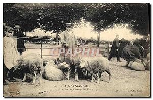 Carte Postale Ancienne Folklore Normandie Sur le champ de foire Moutons