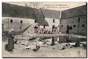 Carte Postale Ancienne Folklore Normandie Visite a la ferme La basse cour