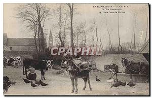 Carte Postale Ancienne Folklore Normandie Une cour de erme Ane Mule Vache Cheval