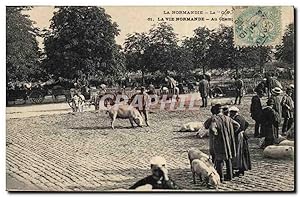 Carte Postale Ancienne Folklore Normandie Au champ de foire Cochon Porc