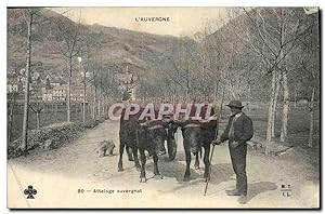 Carte Postale Ancienne Folklore Auvergne Attelage Auvergnat
