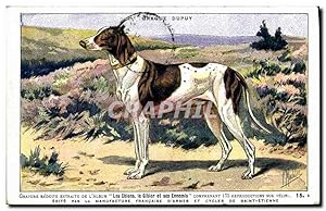 Carte Postale Ancienne Chien Chiens Chasse a courre Braque Dupuy