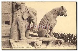 Carte Postale Ancienne Gargouille Paris Notre Dame Chimeres Elephant