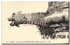 Carte Postale Ancienne Gargouille Albi Sommet de la cathédrale Sainte Cecîle