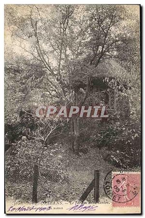 Bild des Verkufers fr Carte Postale Ancienne Fleurs Orleans Le jardin des plantes zum Verkauf von CPAPHIL