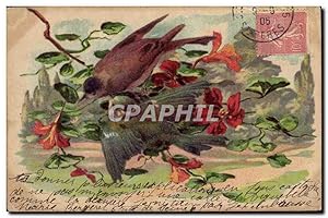 Carte Postale Ancienne Oiseaux