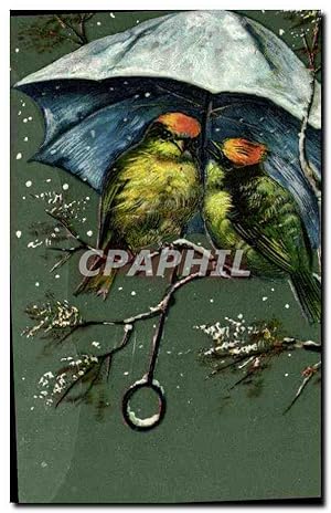 Carte Postale Ancienne Oiseaux