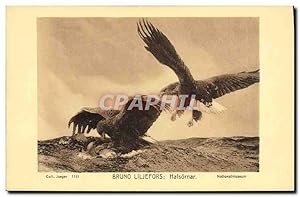 Carte Postale Ancienne Bruno Liljefors Hafsornar Rapace