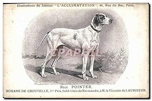 Carte Postale Ancienne Chien Chiens Chiot Race Pointer Roxane de Croutelle 1er prix field Trials ...