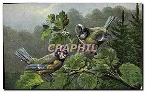 Carte Postale Ancienne Oiseaux